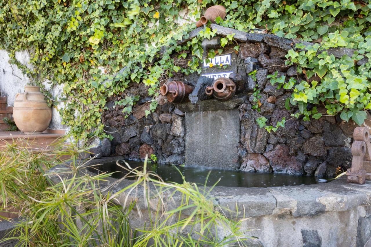 Finca Villa Huerta Icod De Los Vinos Esterno foto